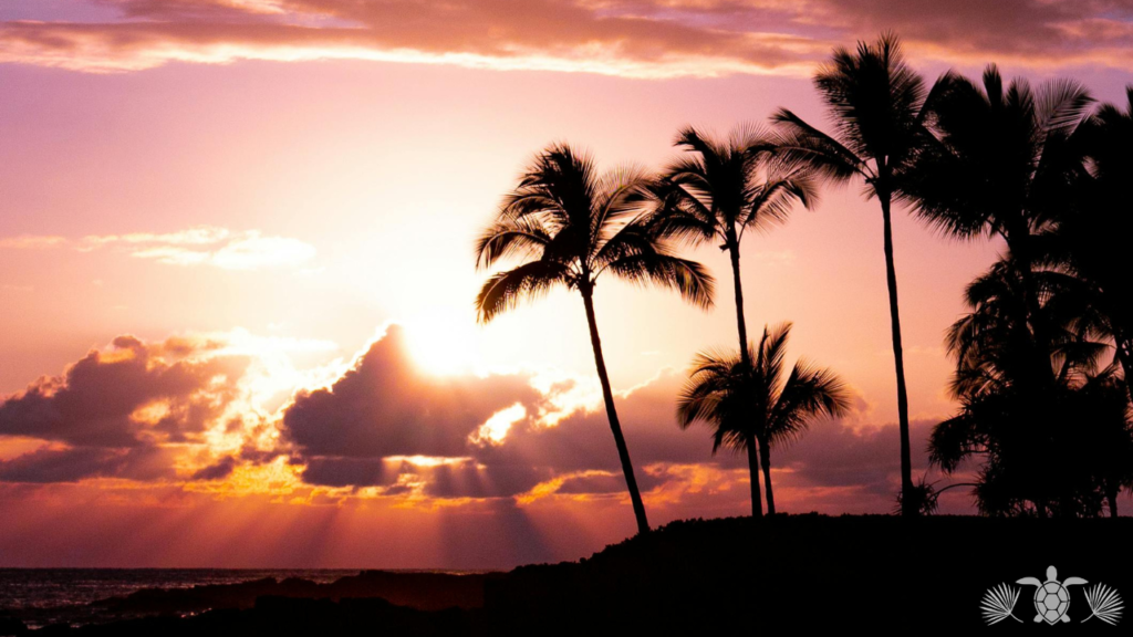 Sun Setting In Kona