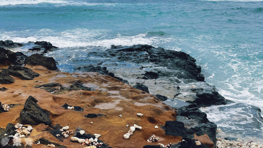 A beach in Kona