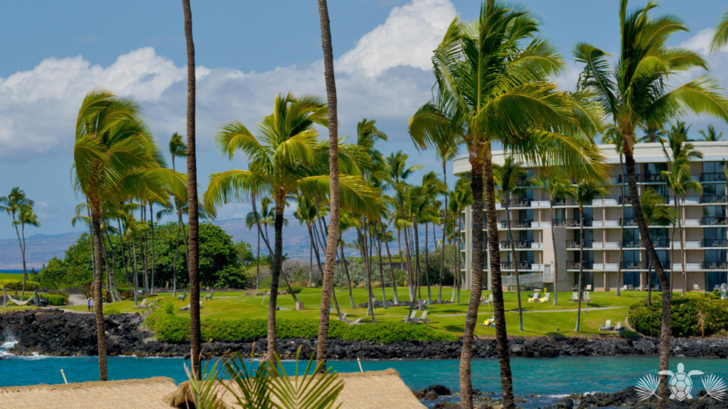 Palm Trees and Blue Water in Front of Condo