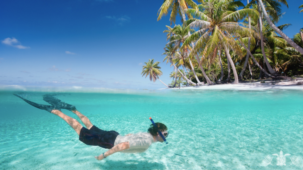 Activities in Kona_ Explore the Waters