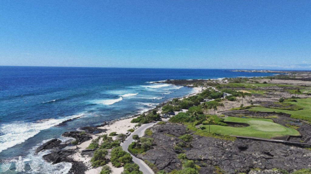 Pine Trees Beach on West Side Big Island