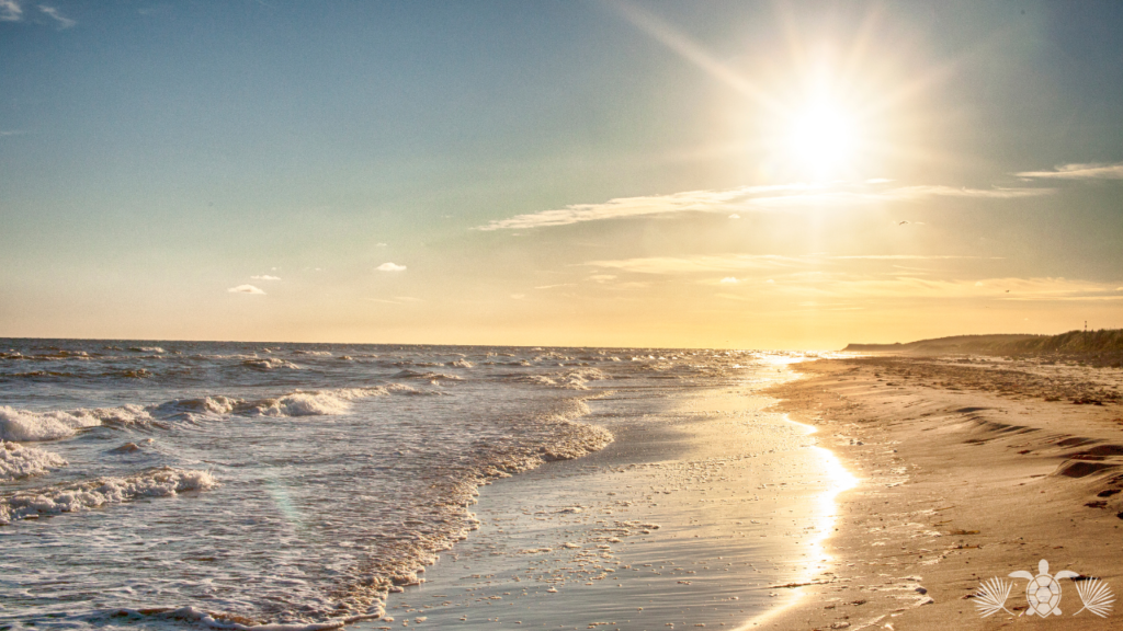 Sunny Weather on a Beach_ West Side Big Island