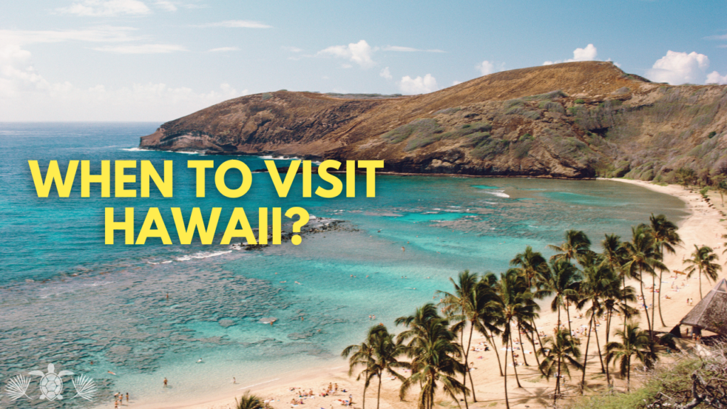 When To Visit Hawaii