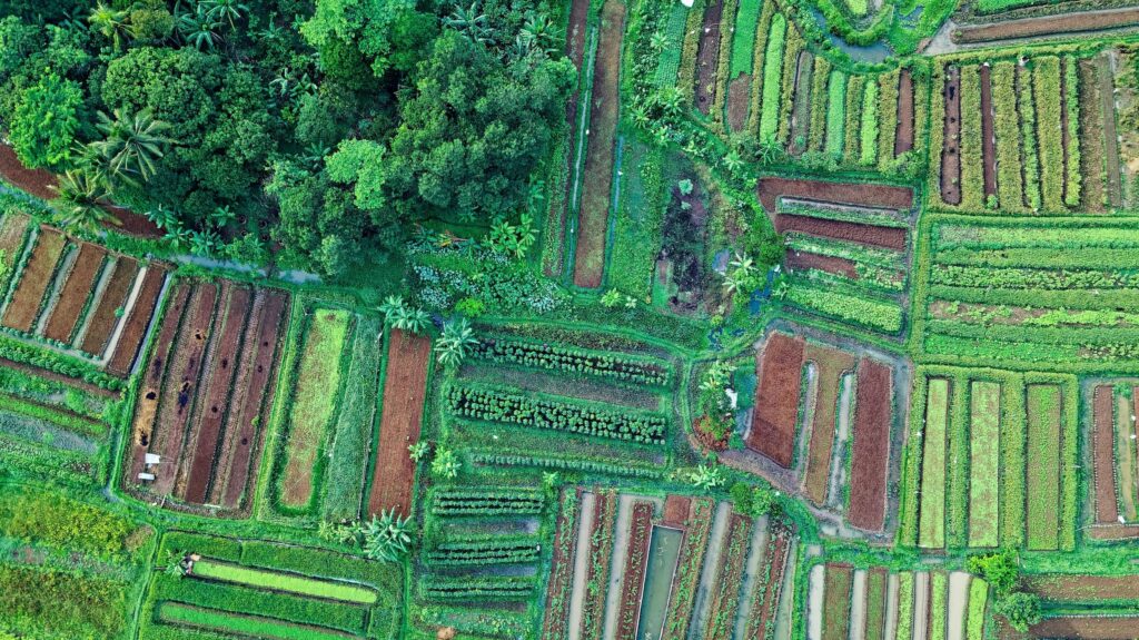 Aerial of Hawaii Ag Land