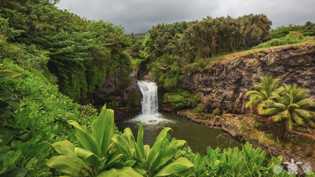 Best place to live on Big Island - Waterfall in Hilo