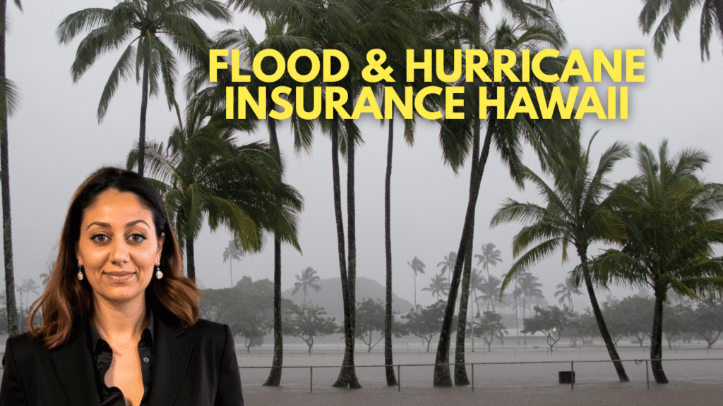 hurricane and flood in hawaii with soraya letournel