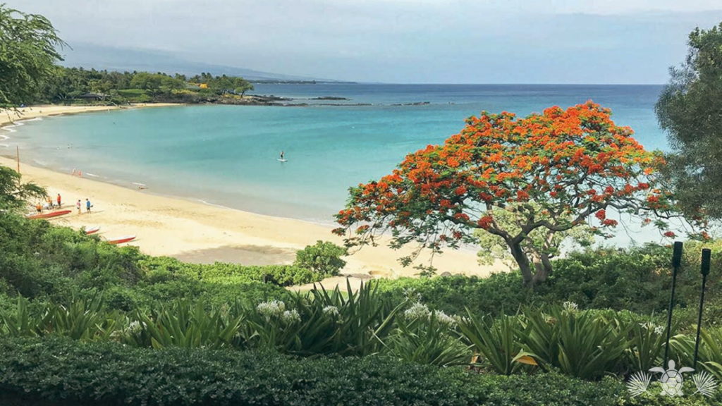 Best neighborhoods in the Big Island_ Mauna Kea Beach