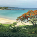 Best neighborhoods in the Big Island_ Mauna Kea Beach