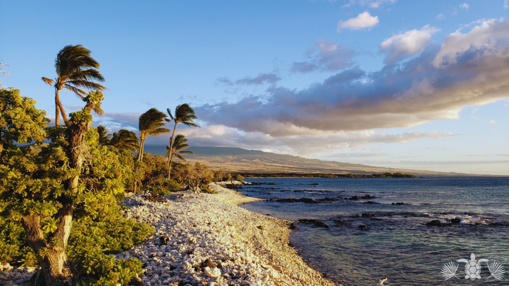 Beach in Hawaii