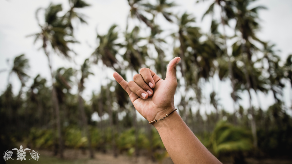 Shaka Hand Gesture in Hawaii