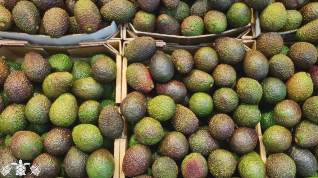Big Island Farmers Market - Avocados in Puna