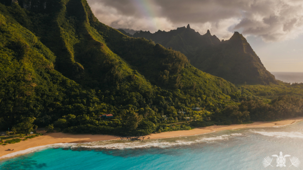 Hawaii Island Real Estate - Aerial View Of The Coast