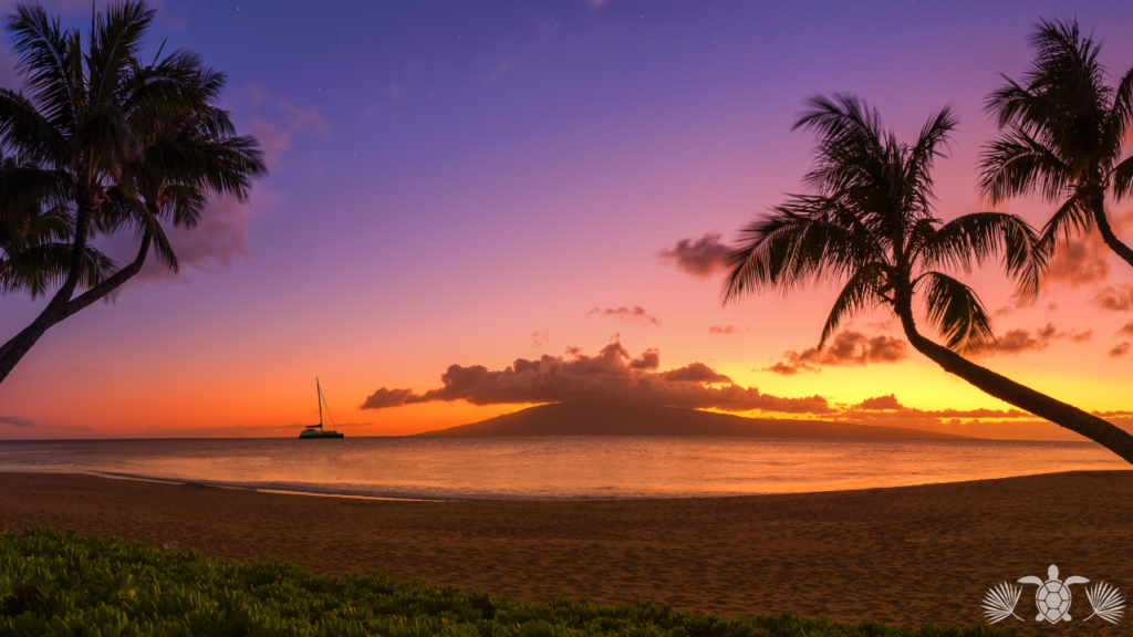 Hawaii Island Real Estate - Beautiful Sunset by the Beach on the Big Island