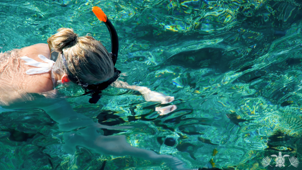 Outdoor Activities in Kailua-Kona - Snorkeling