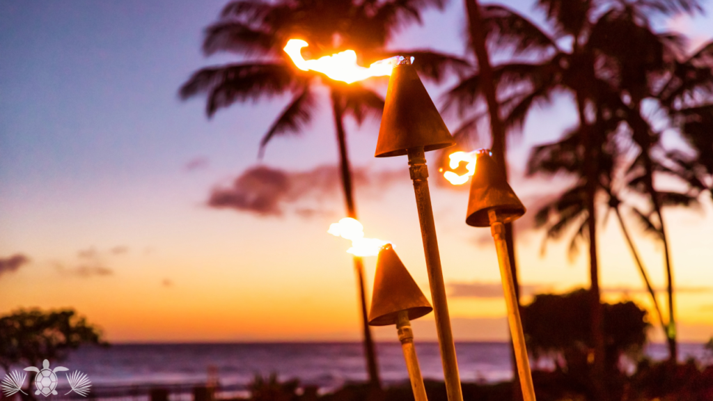 West Hawaii Real Estate Market Update