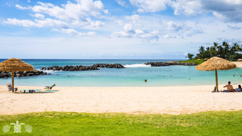 Big Island Hawaii Real Estate June 2026 Update